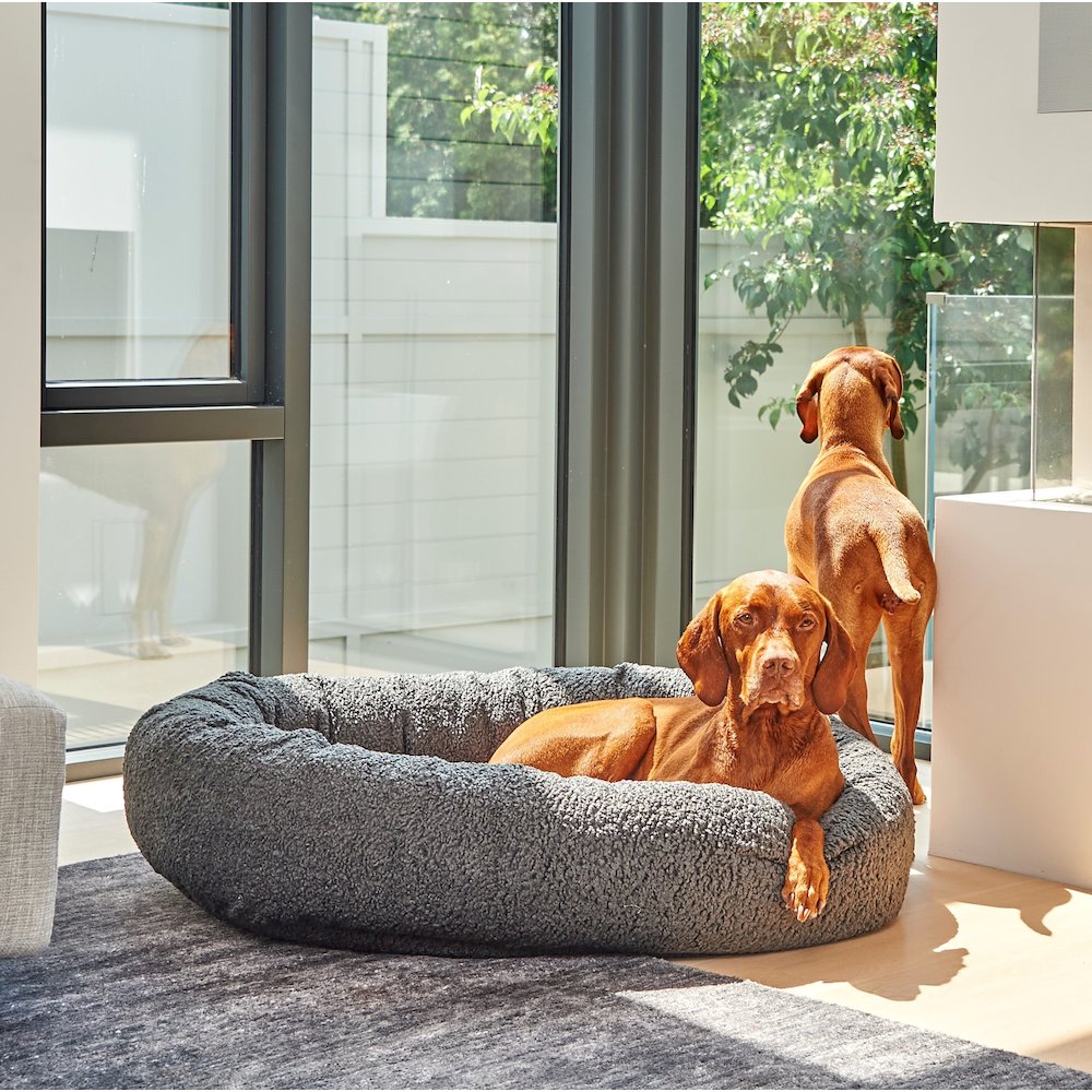 Donut Bed For Dogs in Chocolate Bones Fabric Finish Size - MED. Picture 9