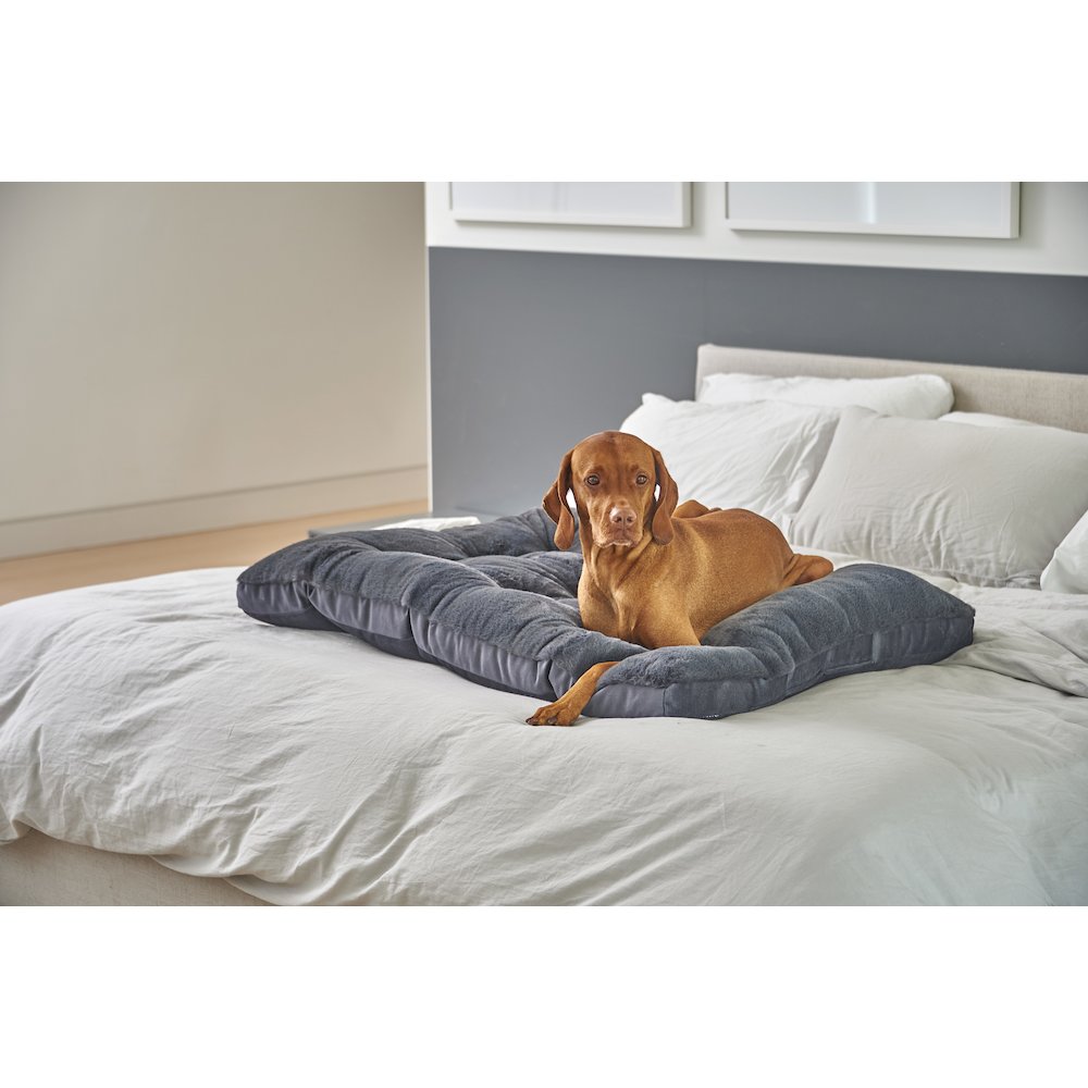 Dream FutonBed For Dogs in Galaxy Fabric Finish Size - SML. Picture 4