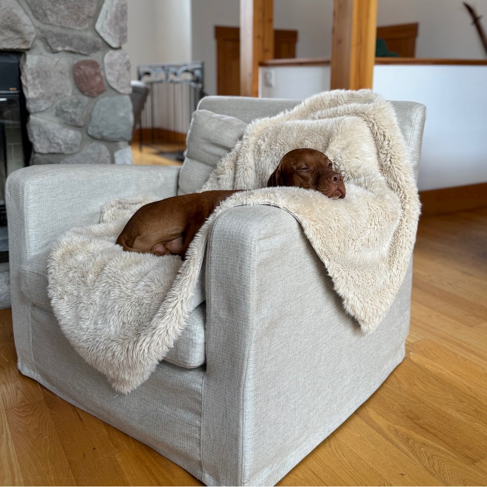 Blanket Topper For Dogs in Himalayan Fabric Finish Size - MED. Picture 2