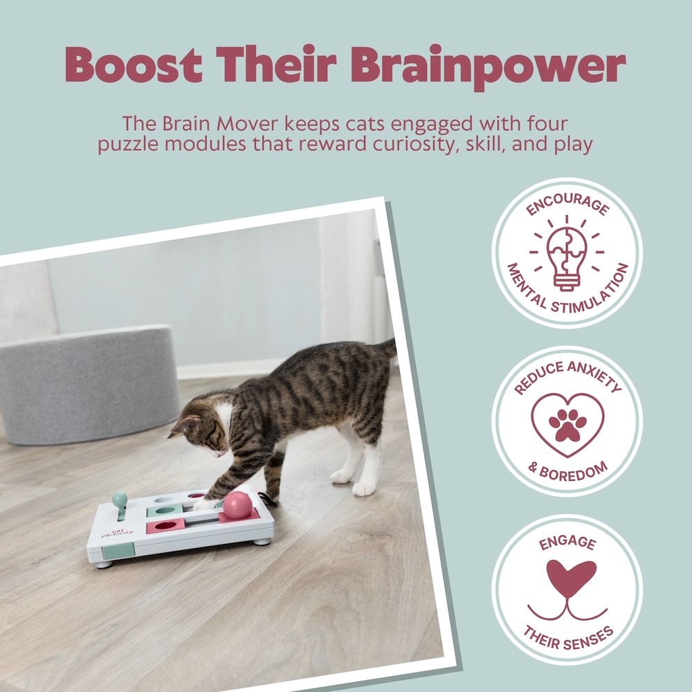 Brain Mover Strategy Game for Cats, Cat Puzzle Toy, Interactive Play. Picture 6