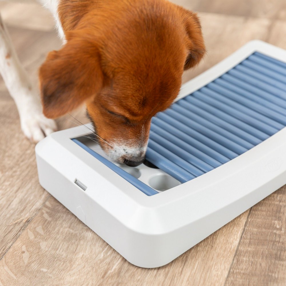 Dog Activity Rod Board Strategy Game, Level 1 Dog Puzzle Toy, Dog Treat Toy. Picture 2