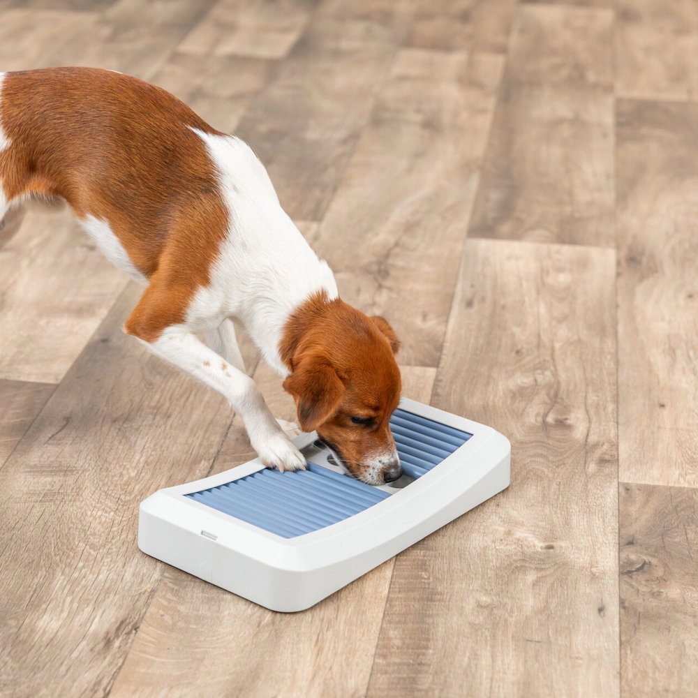 Dog Activity Rod Board Strategy Game, Level 1 Dog Puzzle Toy, Dog Treat Toy. Picture 3