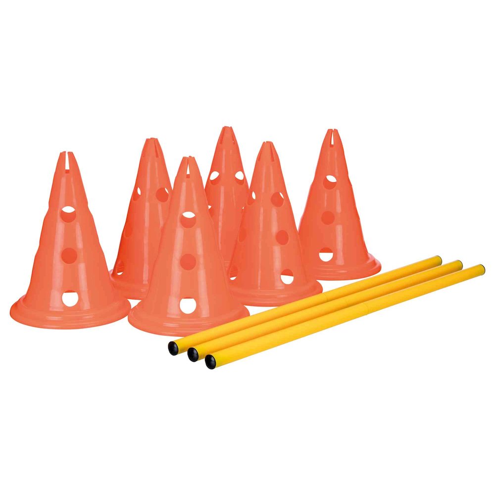 Dog Agility Hurdle Cone Set, Obstacle Training. Picture 1