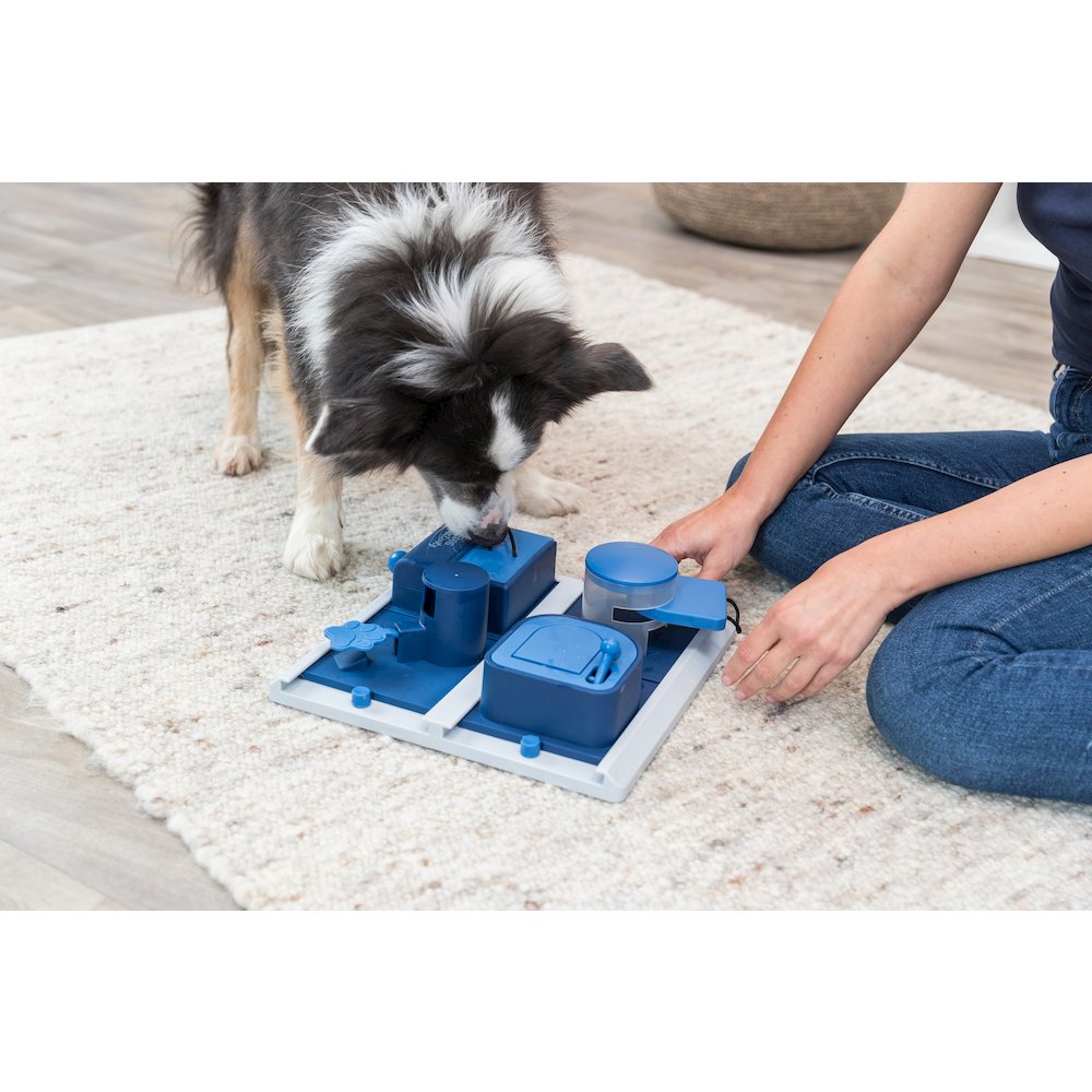 Dog Activity Poker Box 2 Strategy Game, Level 2 Dog Puzzle Toy, Treat Dispenser. Picture 3