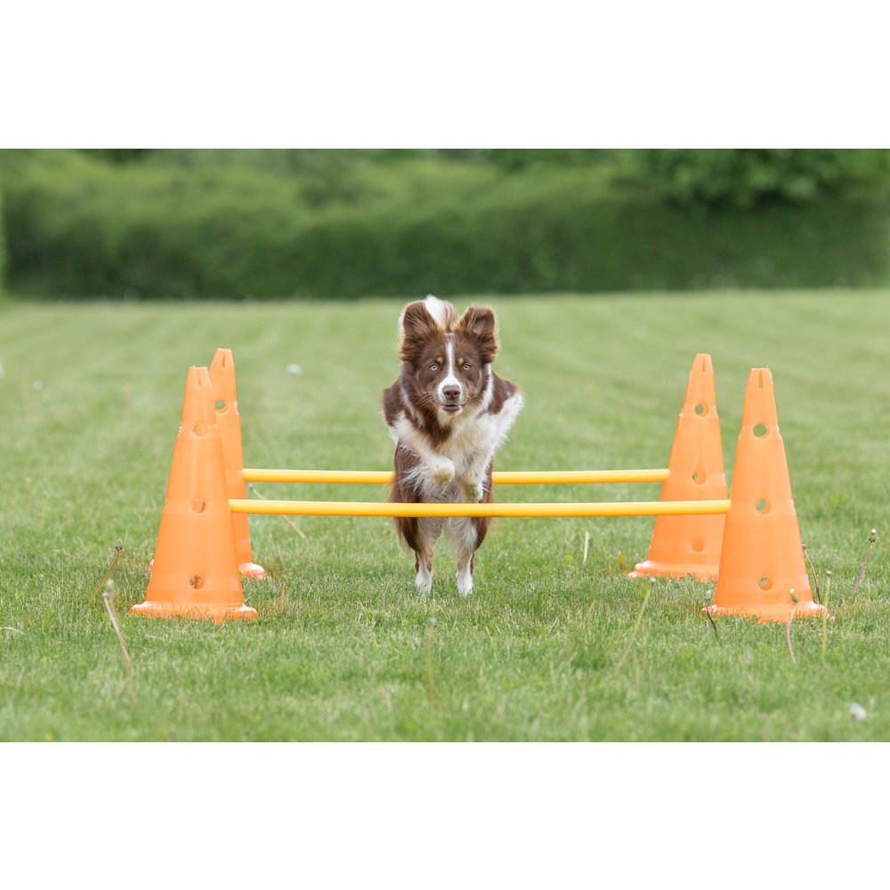 Dog Agility Hurdle Cone Set, Obstacle Training. Picture 7