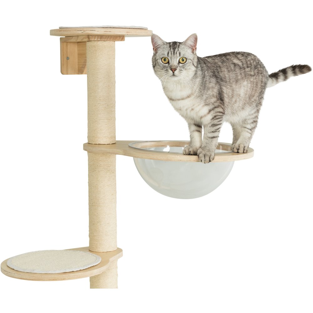 Mateo Wooden & Sisal 4-Level 54.3" Wall Mount Cat Tree, Scratching Posts & Condo. Picture 5