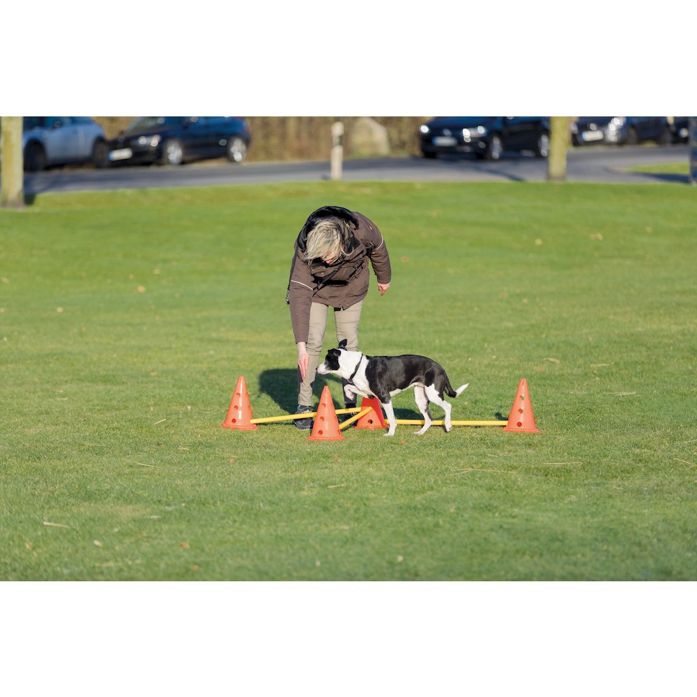 Dog Agility Hurdle Cone Set, Obstacle Training. Picture 8