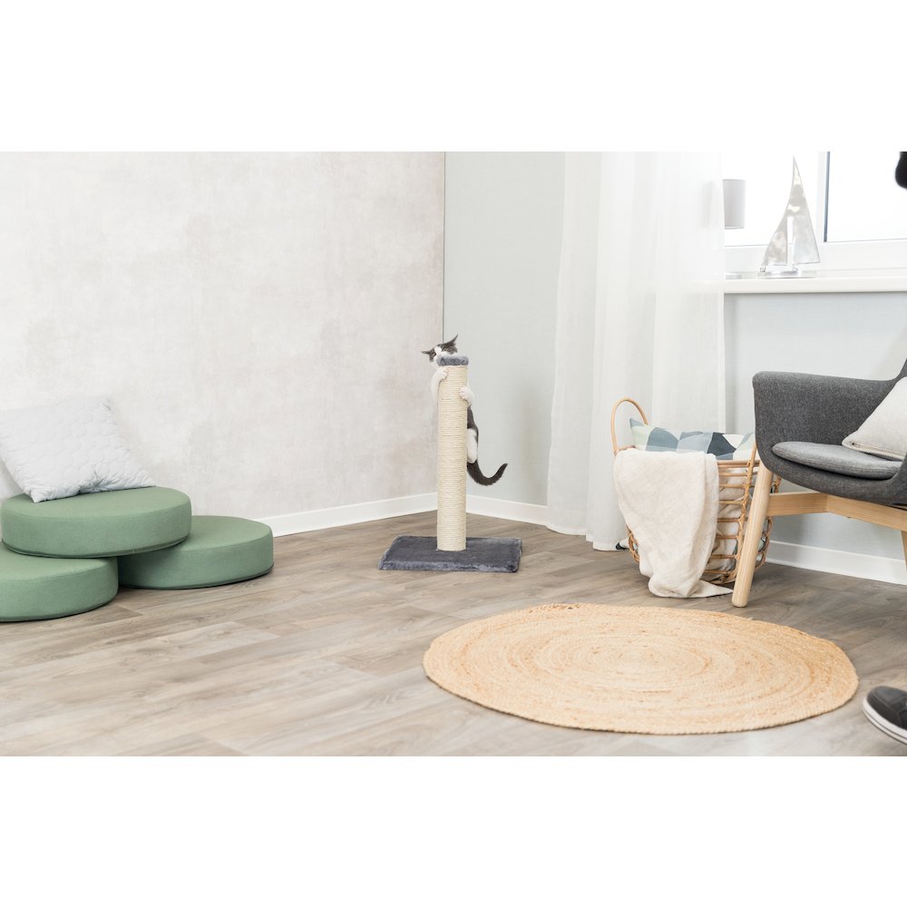 Parla Sisal 24.5" Cat Scratching Post with Plush Base, Gray. Picture 3