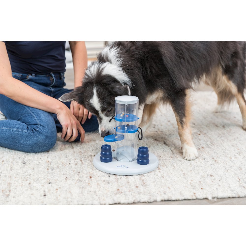 Dog Gambling Tower Strategy Game, Level 1, Beginner Dog Puzzle Toy. Picture 2