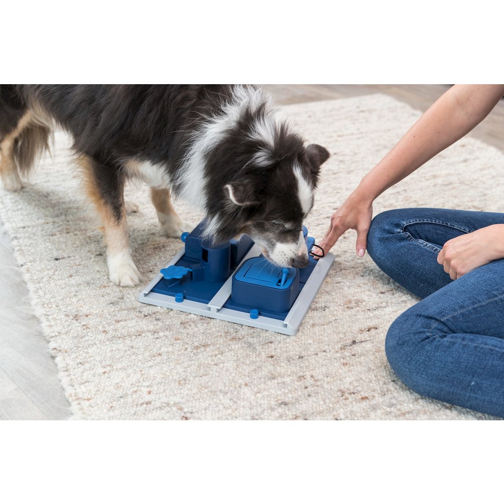 Dog Activity Poker Box 2 Strategy Game, Level 2 Dog Puzzle Toy, Treat Dispenser. Picture 2