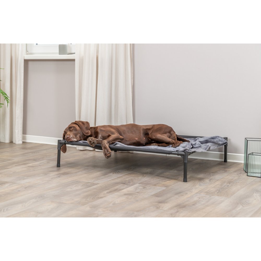 2-in-1 Elevated Portable Dog House or Dog Cot & Tent for Medium-Large Dogs. Picture 7