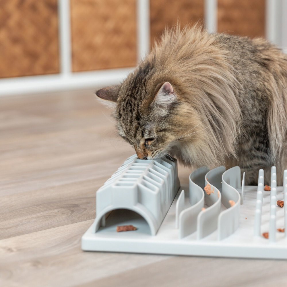 Fun Board Strategy Game for Cats, Puzzle Toy, Treat Dispenser, Interactive Play. Picture 3