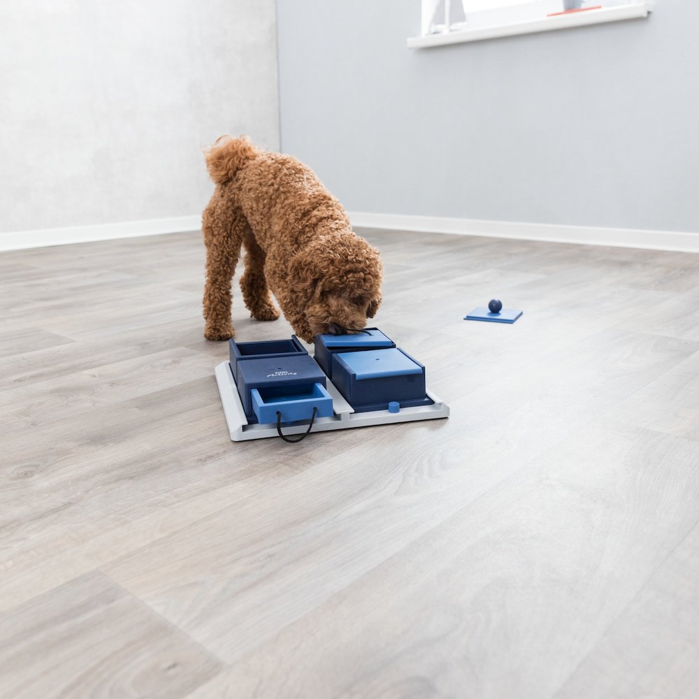 Dog Activity Poker Box 1 Strategy Game, Level 2 Dog Puzzle Toy, Treat Dispenser. Picture 3