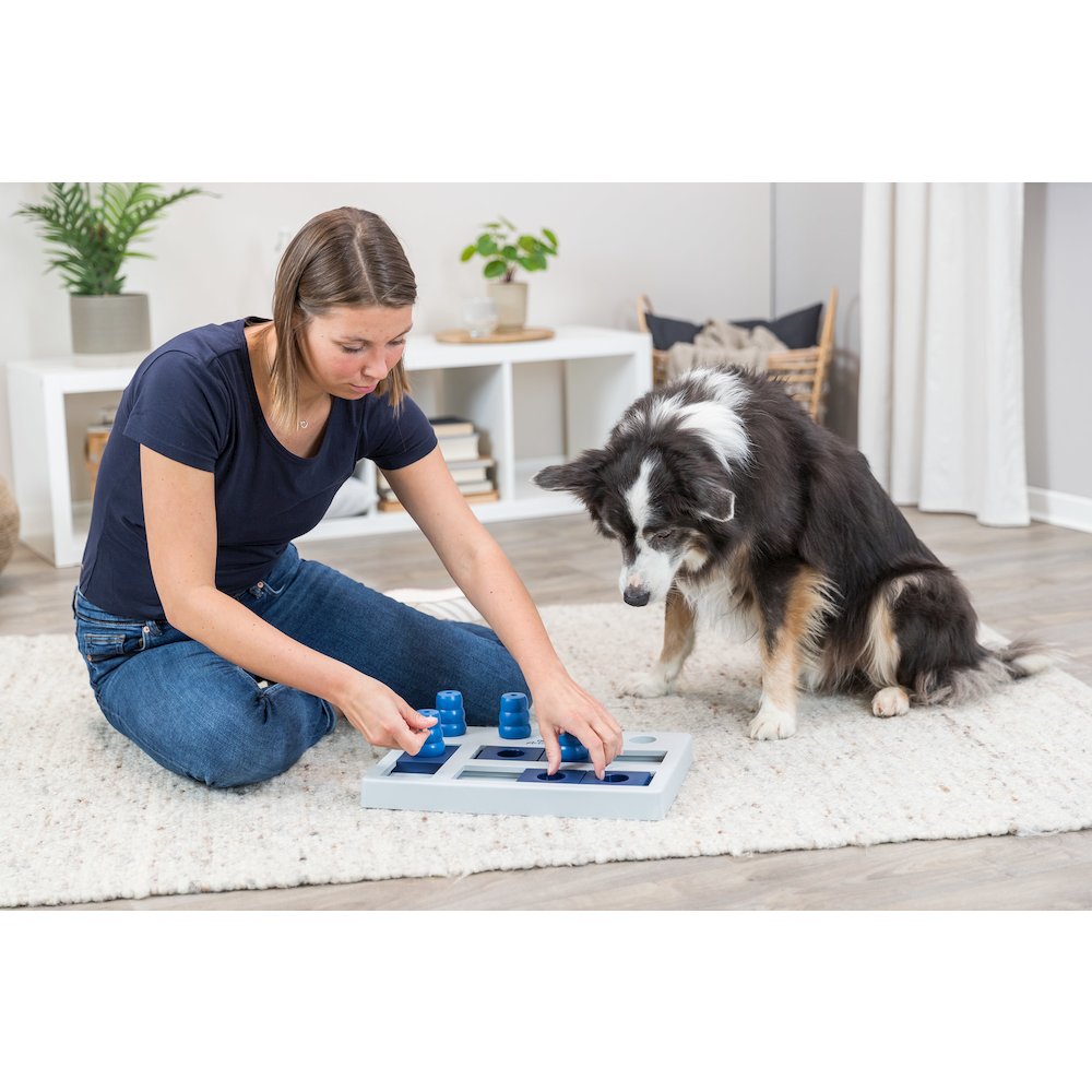 Dog Activity Chess Strategy Game, Level 3, Advanced Dog Puzzle Toy. Picture 3