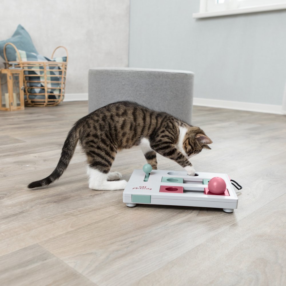 Brain Mover Strategy Game for Cats, Cat Puzzle Toy, Interactive Play. Picture 3