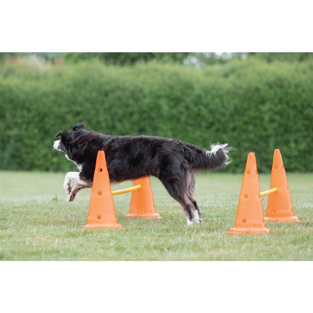 Dog Agility Hurdle Cone Set, Obstacle Training. Picture 3