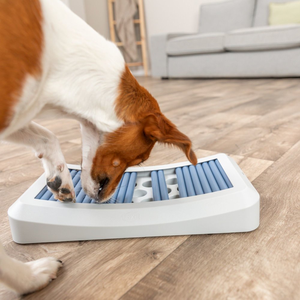 Dog Activity Rod Board Strategy Game, Level 1 Dog Puzzle Toy, Dog Treat Toy. Picture 7