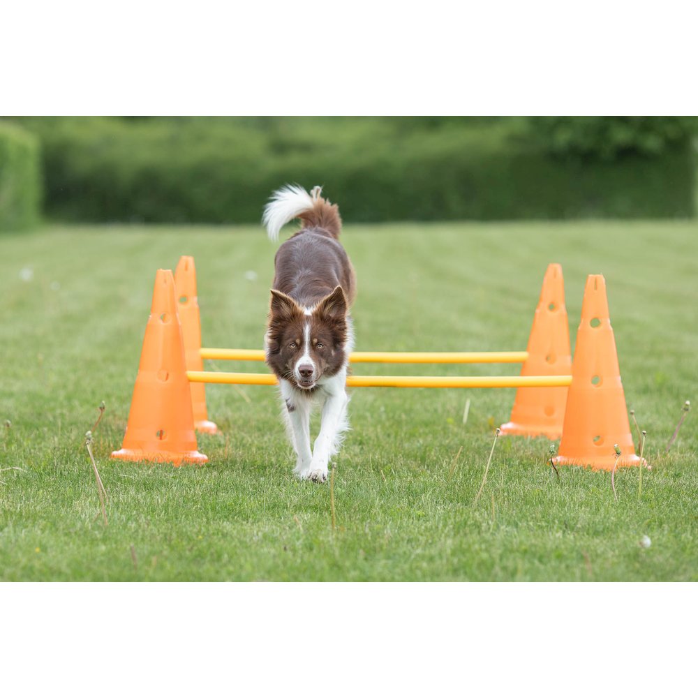 Dog Agility Hurdle Cone Set, Obstacle Training. Picture 6