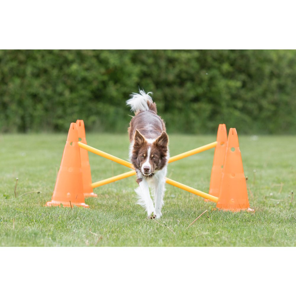 Dog Agility Hurdle Cone Set, Obstacle Training. Picture 2