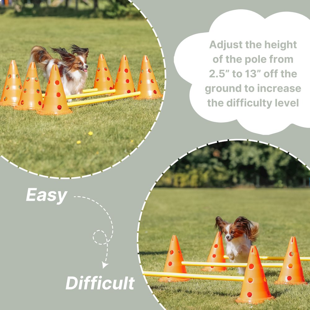 Dog Agility Hurdle Cone Set, Obstacle Training. Picture 5