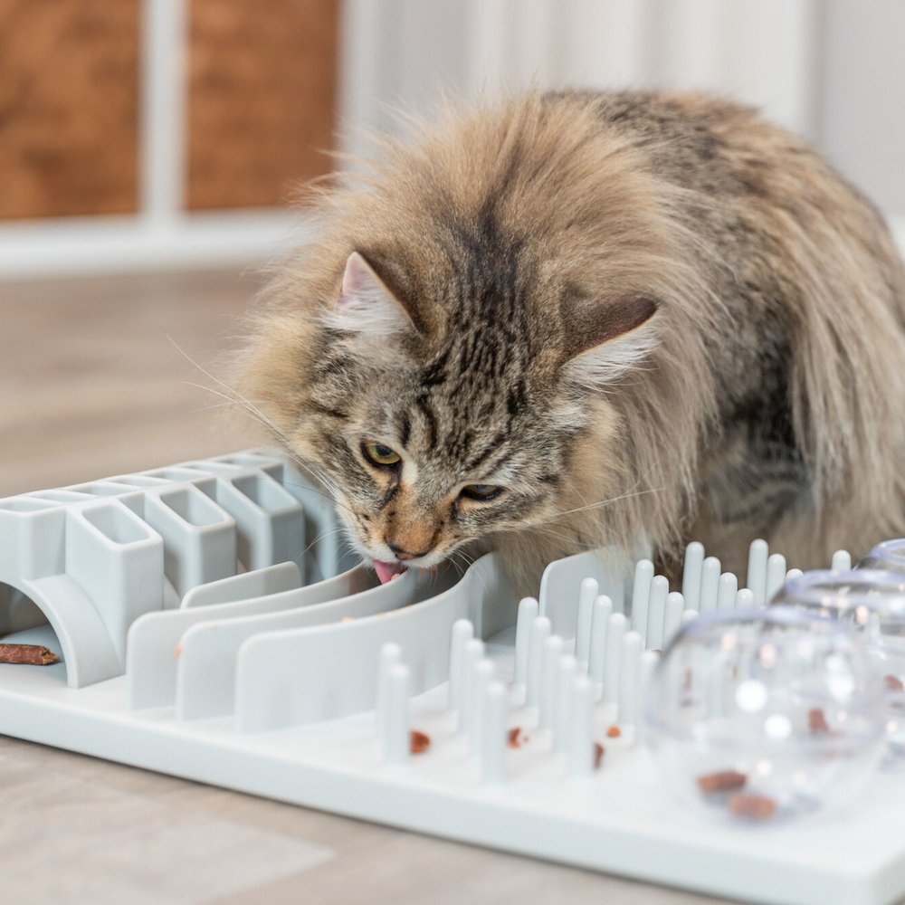 Fun Board Strategy Game for Cats, Puzzle Toy, Treat Dispenser, Interactive Play. Picture 2