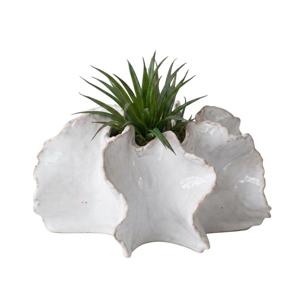 Set Of Two Organic Ceramic Planters. Picture 3