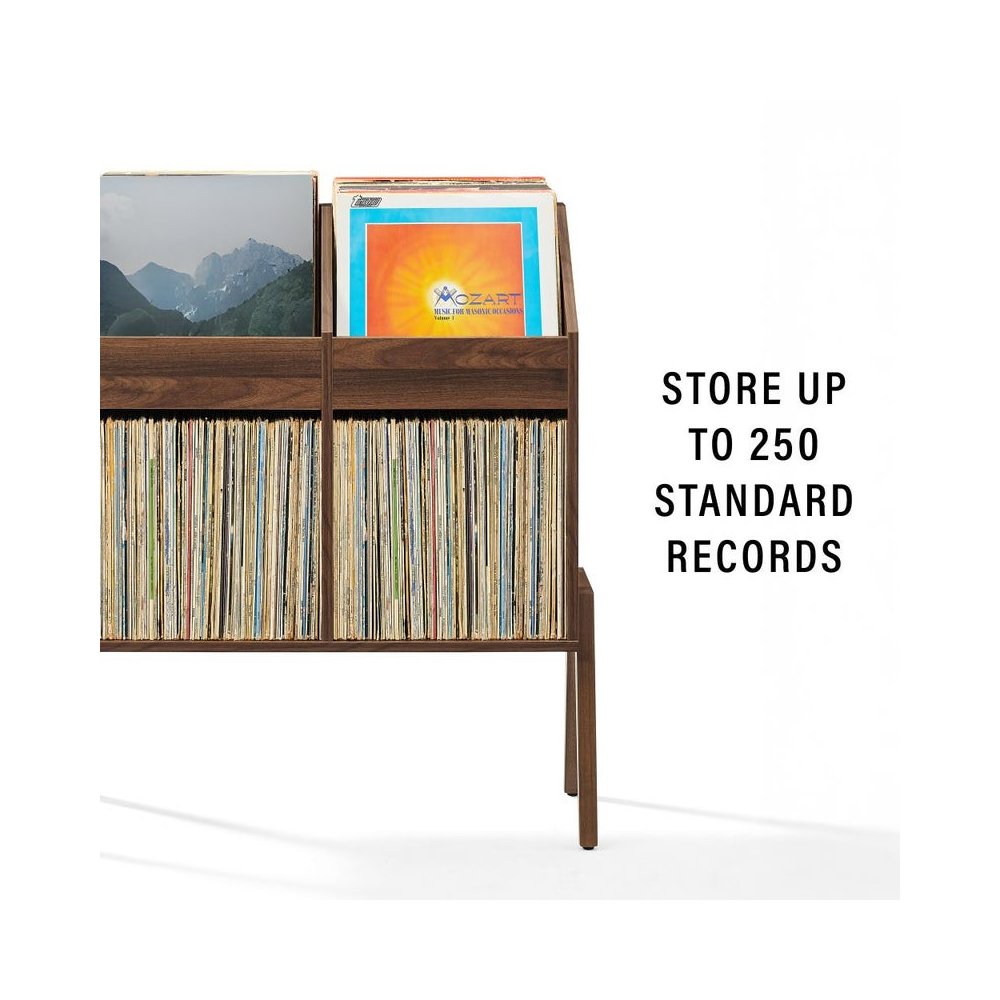 Luna Vinyl Record Storage Stand. Picture 6