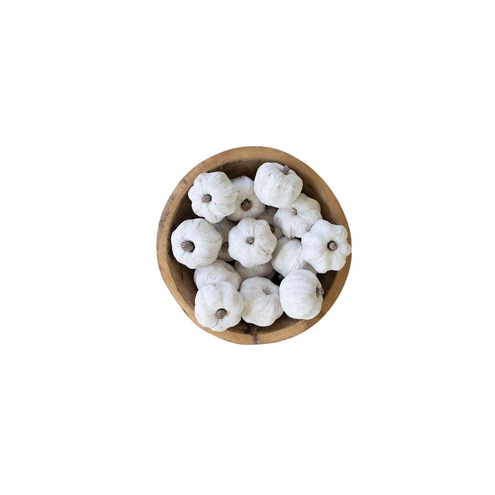 Bag Of Fifteen Dried Miniature Faux Pumpkins - White. Picture 1