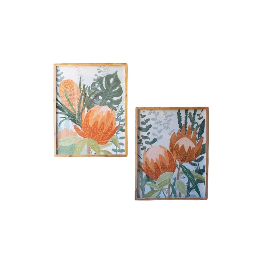 Set Of Two Framed Prints Under Glass - Protea. Picture 1