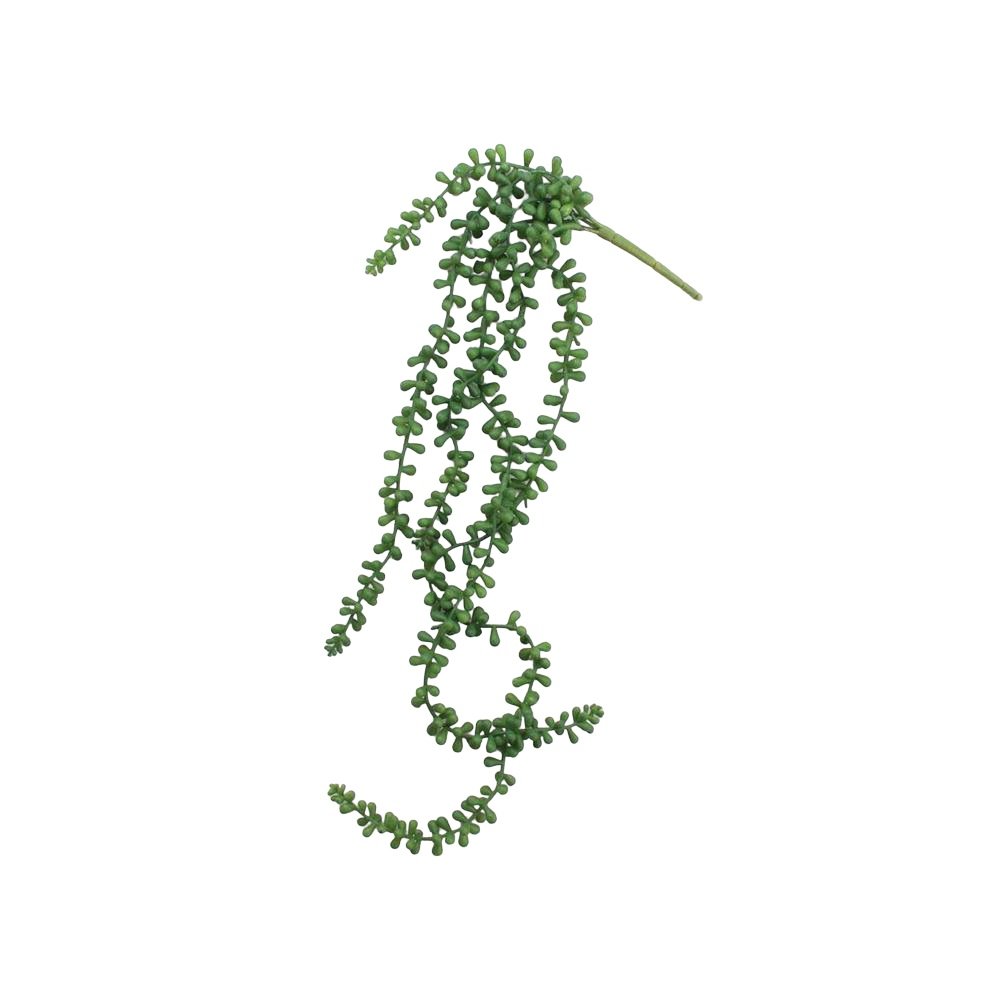 Artificial Necklace Fern Succulent. Picture 1
