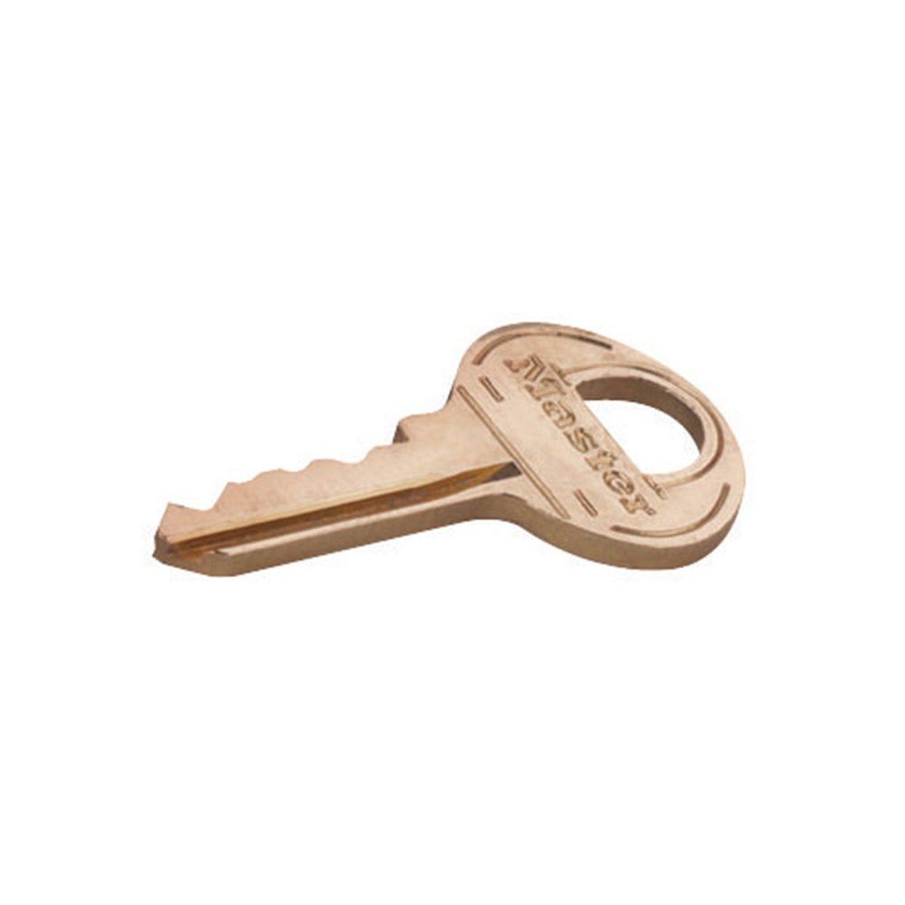 Master Key for Cell Phone/Tablet Locker with Keyed Locks. Picture 1