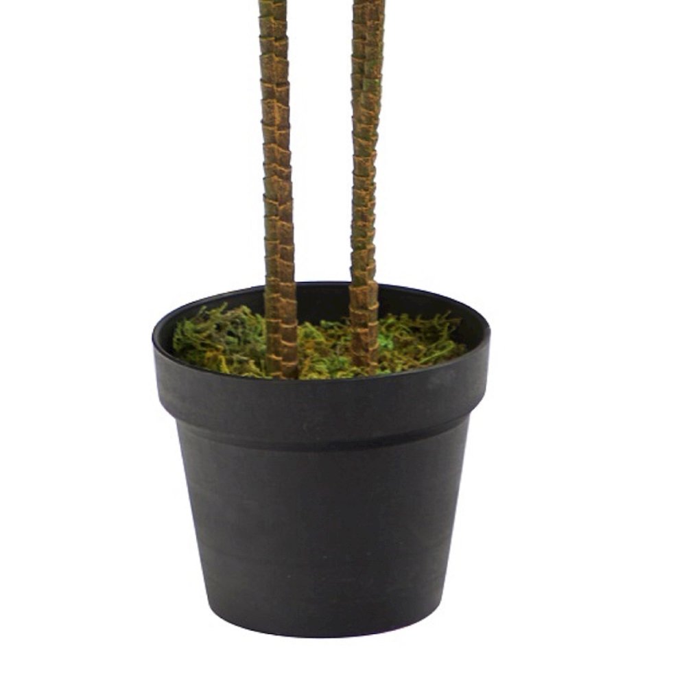 43in. Dracaena Silk Plant (Real Touch). Picture 4